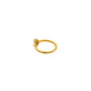 Pisa Gold And Pink Ring